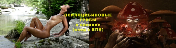 молекула духа Арсеньев