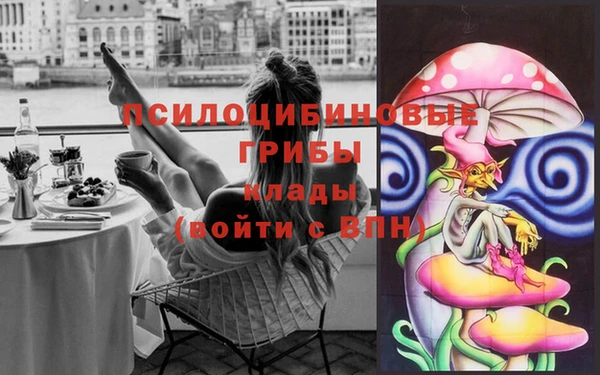 дживик Балахна