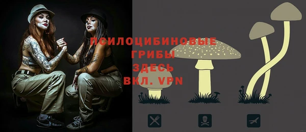 хмурый Баксан