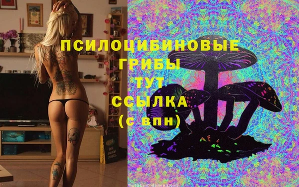 apvp Аркадак