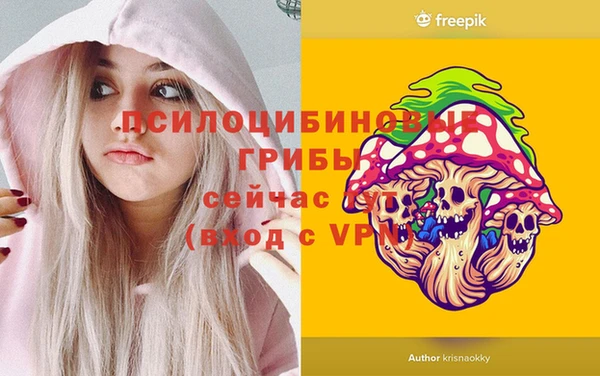 молекула духа Арсеньев