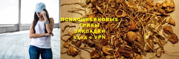 2c-b Осинники