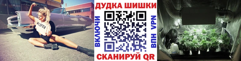 Бошки марихуана план  магазин  наркотиков  Светлый 